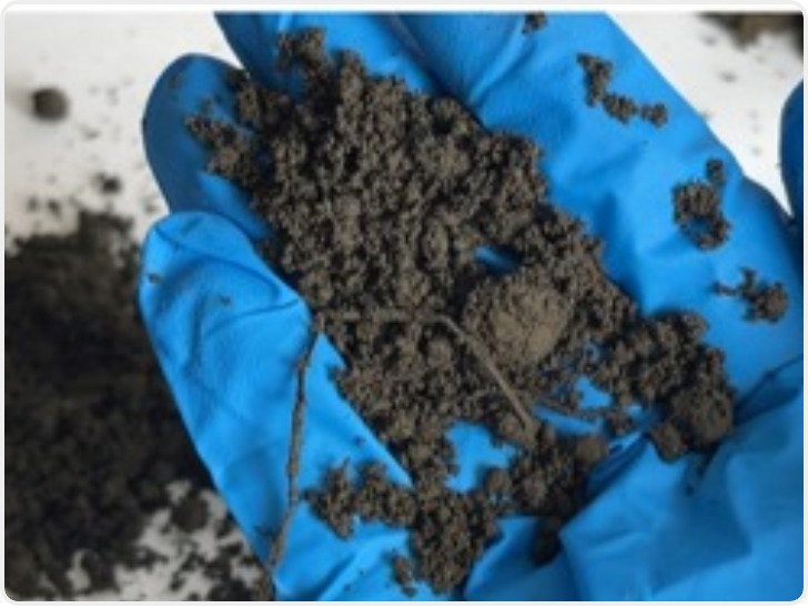 “毒营养土”搅乱市场 何以监管处罚？