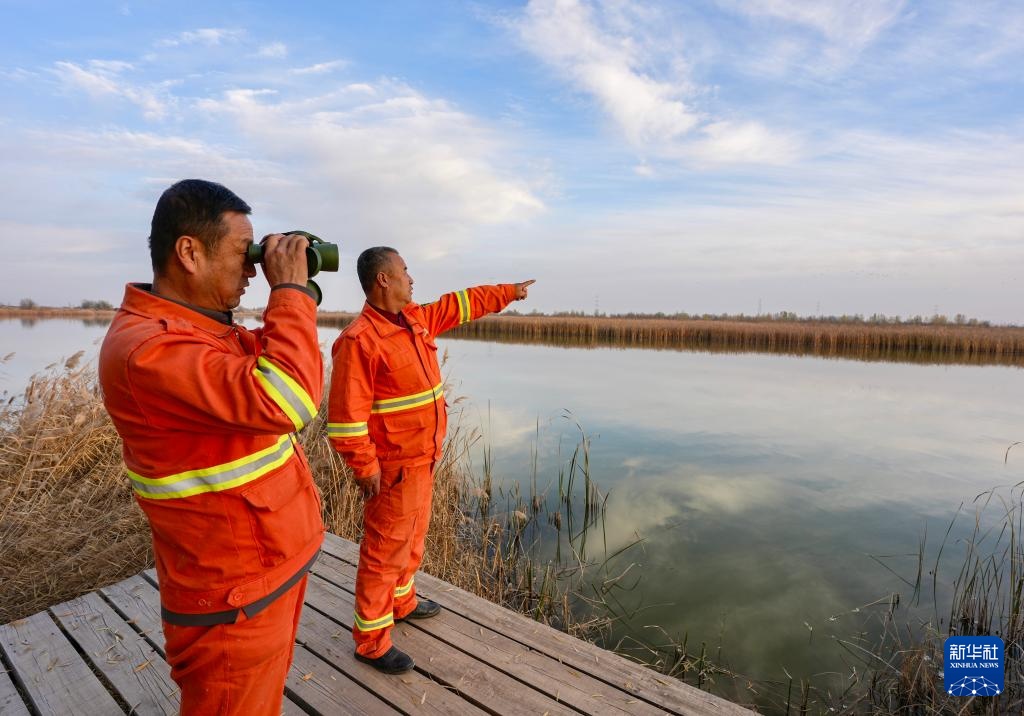 保护黄河湿地 守护候鸟家园
