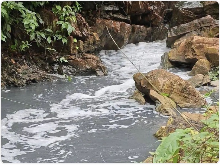 重庆南川通报孝子河污染情况：已确定污染源 将制定整治方案