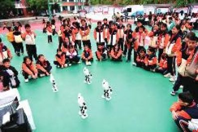 教育部等七部门发文加强中小学科技教育