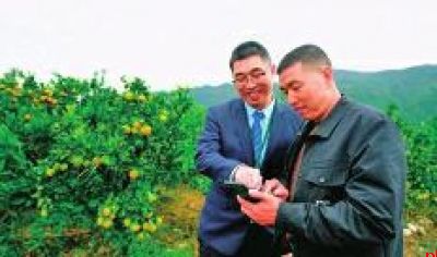 金融“活水”润橘乡 金果飘香富农家