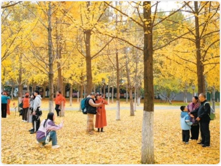 这就是文化传承最美妙的方式