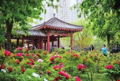 秦东蝶变 山河新章
