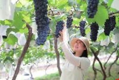 秦东蝶变 山河新章