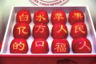 秦东蝶变 山河新章