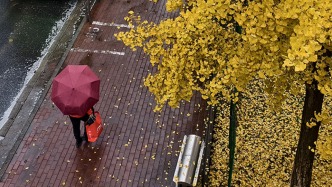 寒潮蓝色预警：未来三天中东部地区将出现大风降温天气