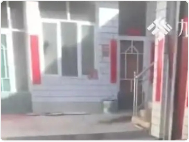 狗咬人引发的血案： 一死一重伤 被告人被诉故意伤害