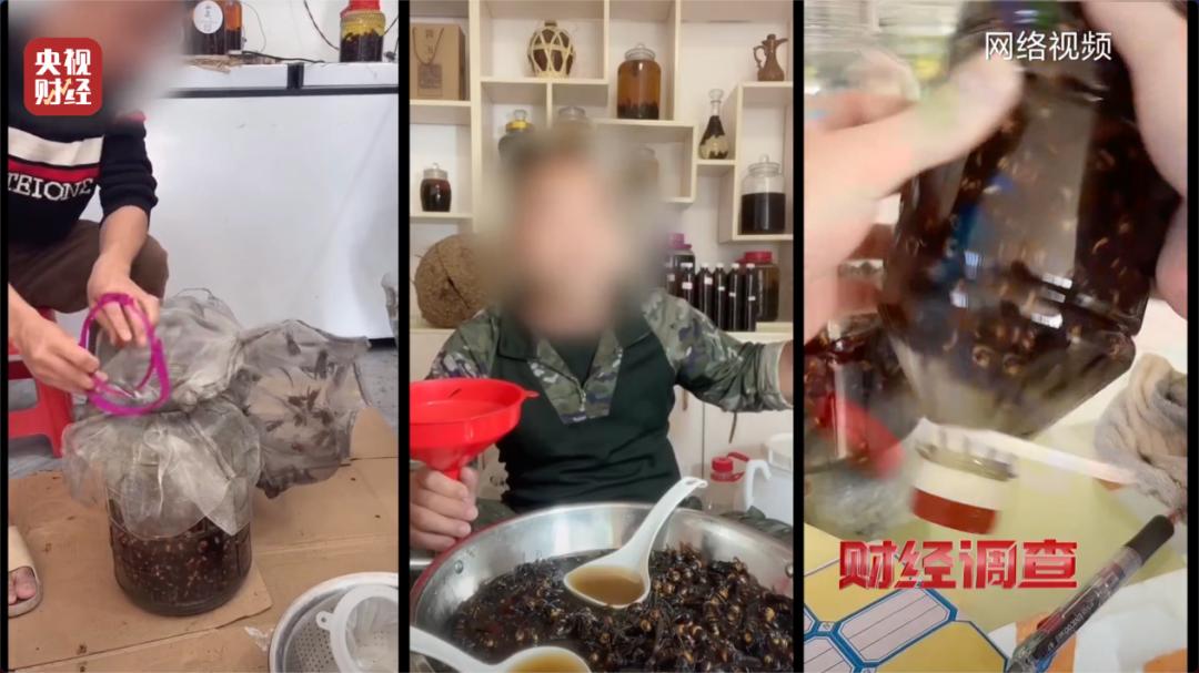 成本500元能赚5000元 “杀人蜂”遭滥养：伤人致死事件频发