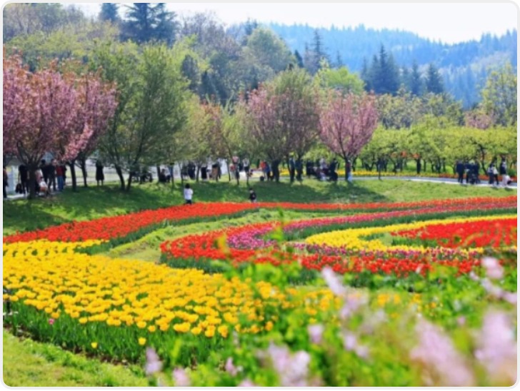 2026“秦旅游惠民卡”发售 一卡畅游陕西“50+”优质景区