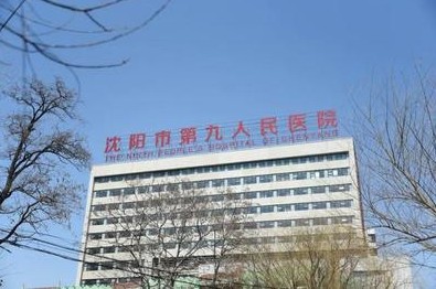 专家号一放出来就没了？9个黄牛团伙6个月抢号7500余次
