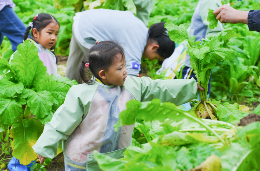 dcvWjQonBdbgri3p.png image.png