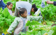 工厂田间变课堂 亲子劳作促成长