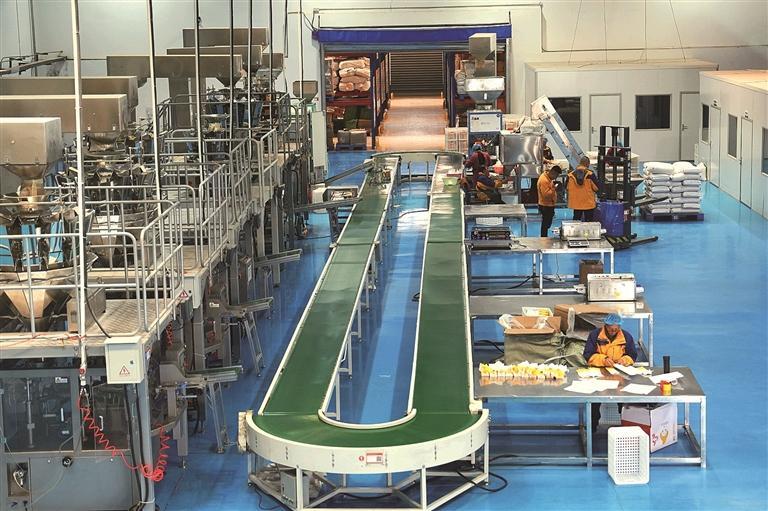 10个月，网络销售额超2亿元——米脂小米“出圈”的背后