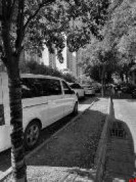 交警部门回应：立即整治