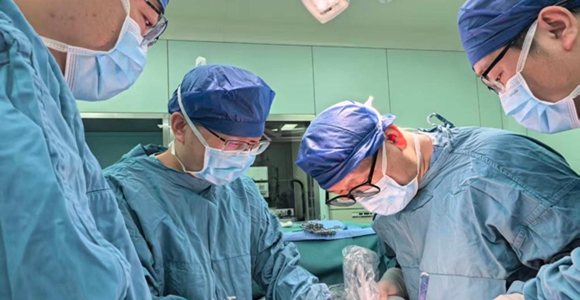 五斤肿瘤“霸占”腹腔 西京医院团队狭缝“拆弹”精准切除