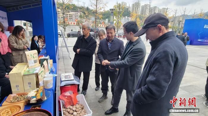 图为商户正在了解旬阳特色商品。 吴西檬 摄