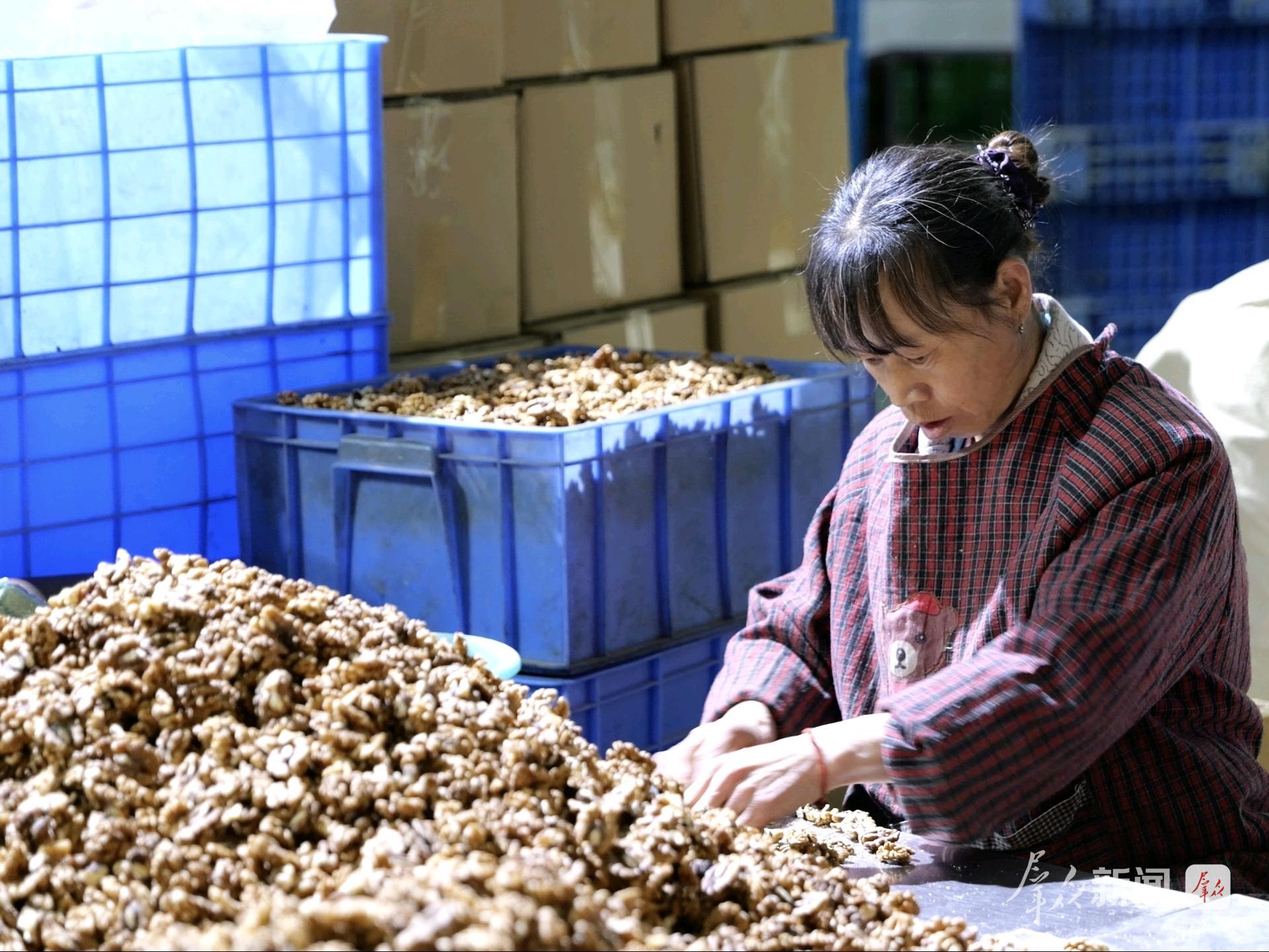 商洛：小核桃闯荡大世界