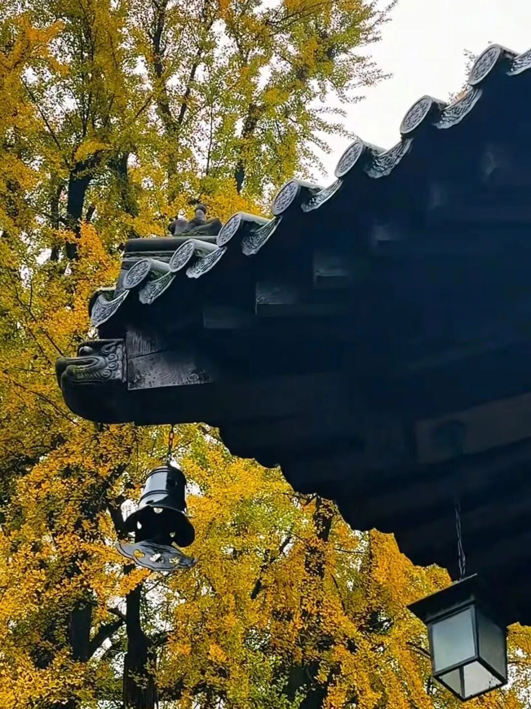 Bmwyw2CZU9JpE7af.jpg 3.jpg