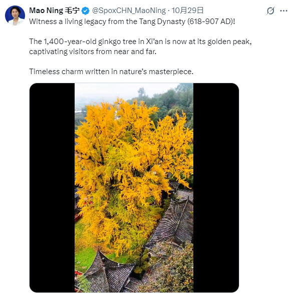 HxCxeMZiqIVOGpwh.png 640.png