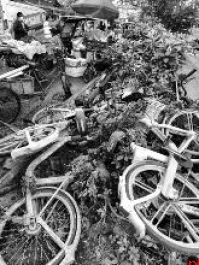 这些问题已全部整改