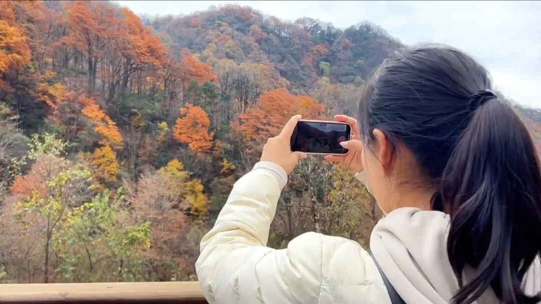 sjQ7gxuWxxGMt7Zm.jpg 2.jpg