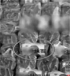 谁在贩卖“野生”飞机?