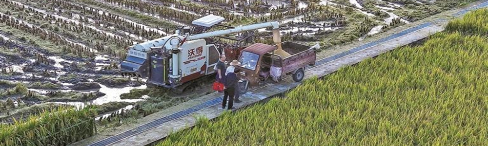 秦岭深处的幸福“三重奏”——商洛推进乡村振兴观察