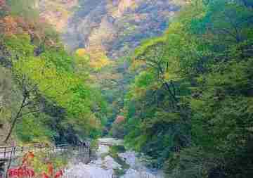 三人违规穿越秦岭被困 西安公安、救援队等连夜搜救