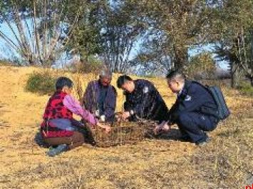 榆阳公安亮剑出拳 立体防控筑牢平安基石
