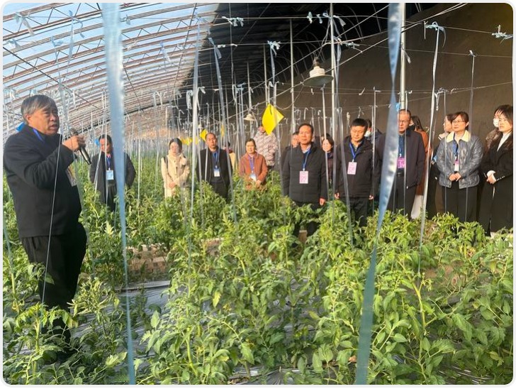 顶尖专家到渭南 田间地头变成“移动课堂”