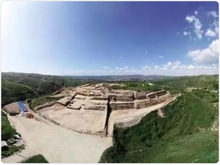 基因揭秘千年“巨石之城”的身世与秩序