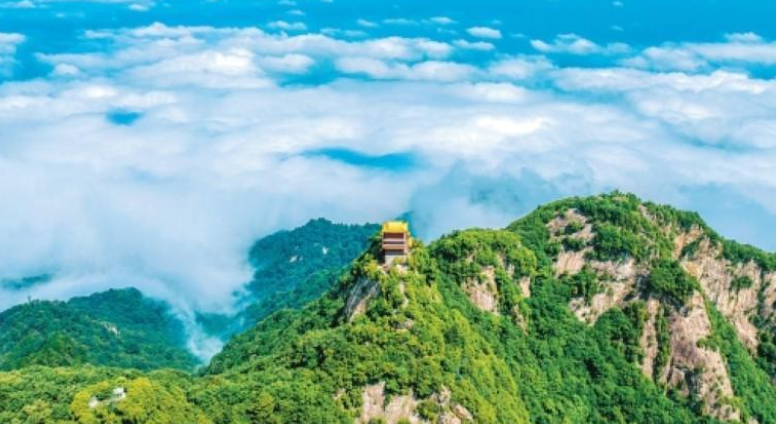 XoD7WXLrBxu3S9dO.png image.png