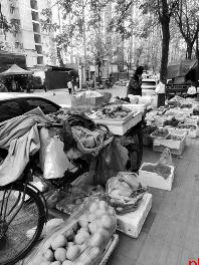 这些占道问题已全部整改