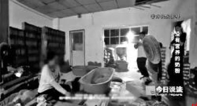 竟是在生产“外国奶粉”