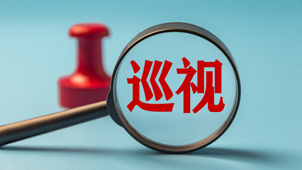 二十届中央巡视省（自治区、直辖市）完成反馈