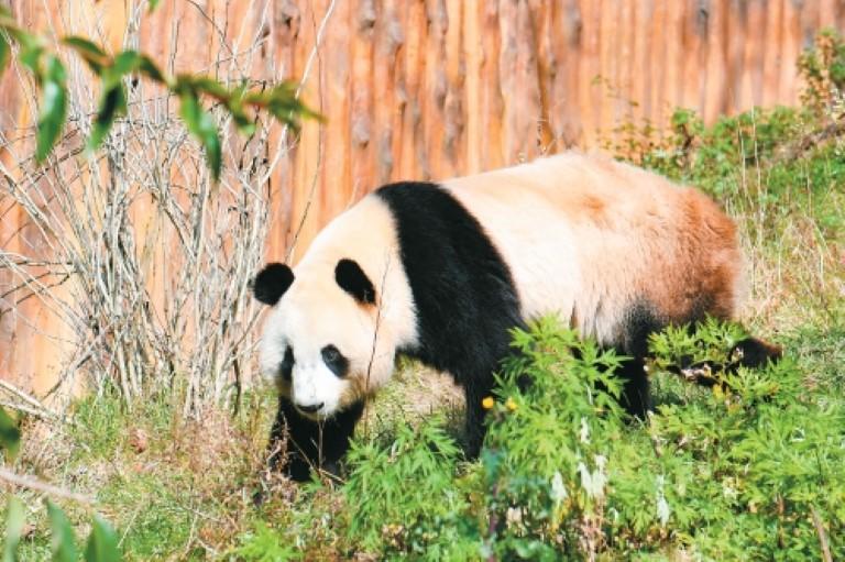 7VBdQ6gO6zwLjWIR.jpg 9cbd1e1b-bc2a-4dca-9945-826cb429f9b0.jpg