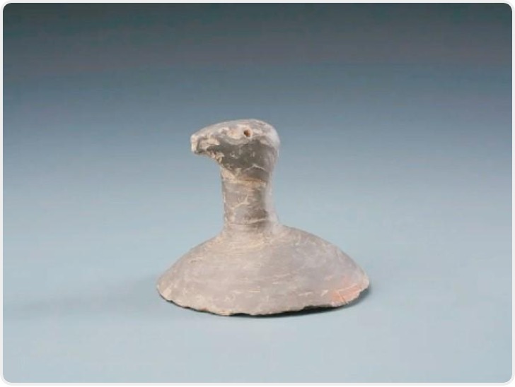 陕西发现4800年前大型仓储系统 粮食储量可支撑聚落食用4至9年