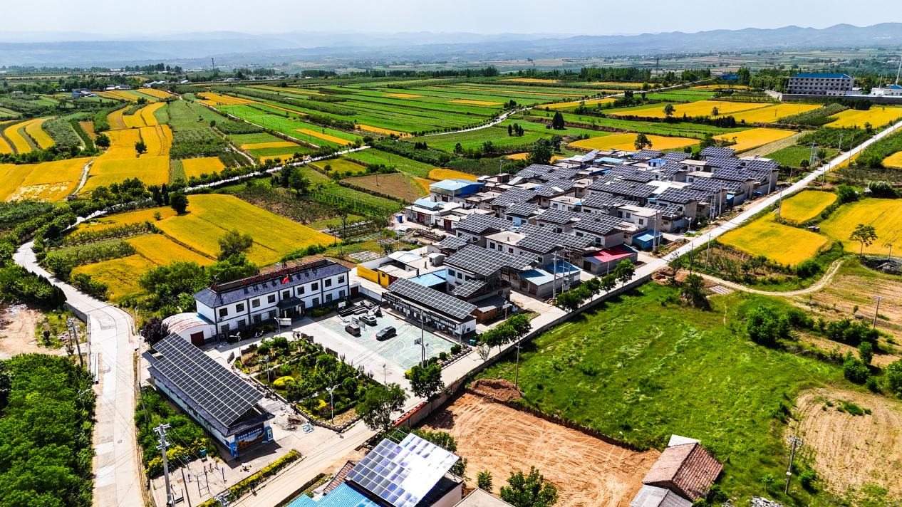 2VSIgg4M039yYd4P.png 图片7.png