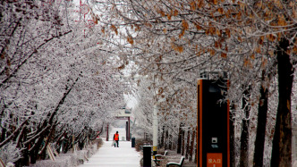 新一轮寒潮下周已预订！局地降温或达16℃
