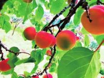 深耕三秦大地 解题五篇大文章