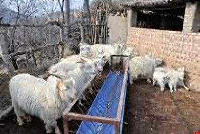 深耕三秦大地 解题五篇大文章