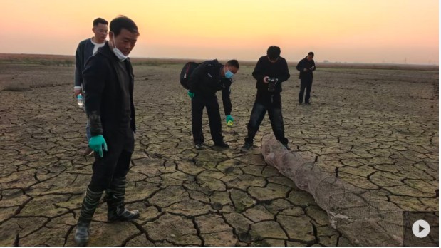 zZssIzcgXd6MV6zy.jpg 360截图20251208151321040.jpg