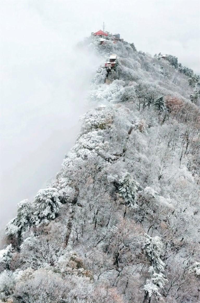 Nus76CKL3HVonc6D.jpg 038a68db-8a6b-4246-894b-08535180549d.jpg