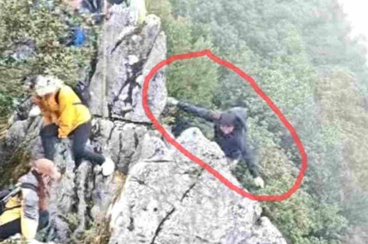 四川一驴友称登山坠崖被大树救命 本人：感觉身体要震碎