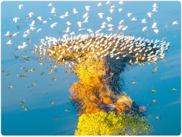 冬林不寂 色彩未眠