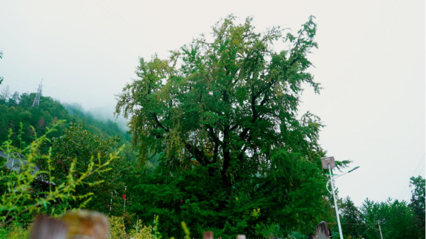 0XAvrBNG1RWDZ1Av.png image.png