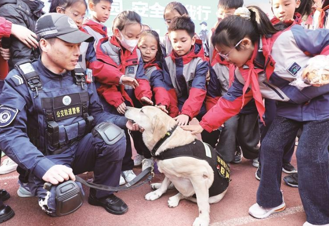 UM0fAVCA35Bn24W6.png image.png