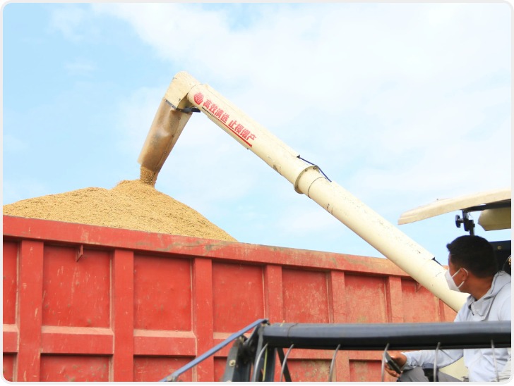 国家统计局：2025年全国粮食总产量14298亿斤 增长1.2%