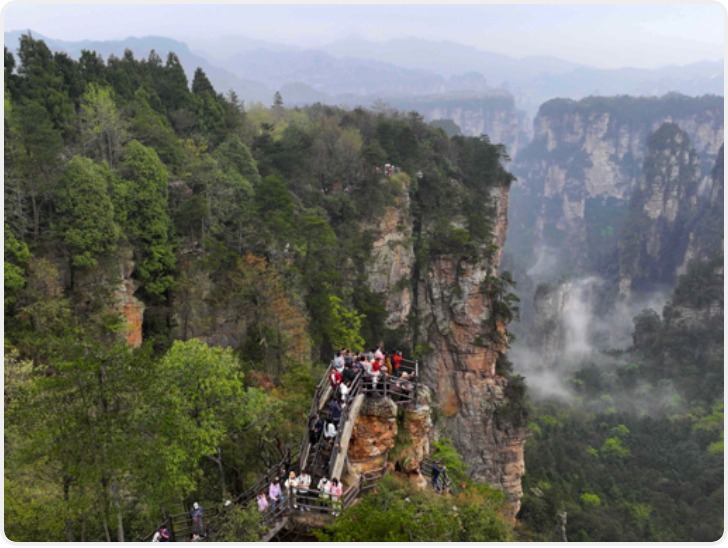 张家界七星山荒野求生赛提前结束 承诺的冠军奖金20万咋办？