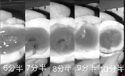 男子靠煮蛋秘诀 3天涨粉100万